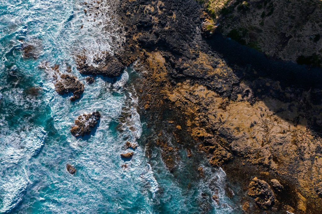 Coast Experience