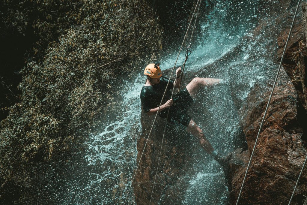 Wild Leadership