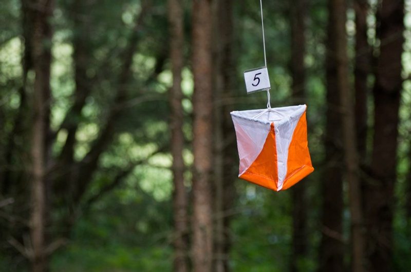 Lanterna da orienteering arancione e bianca appesa tra gli alberi del bosco